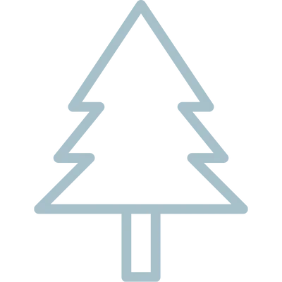 dysfonctionnement noel